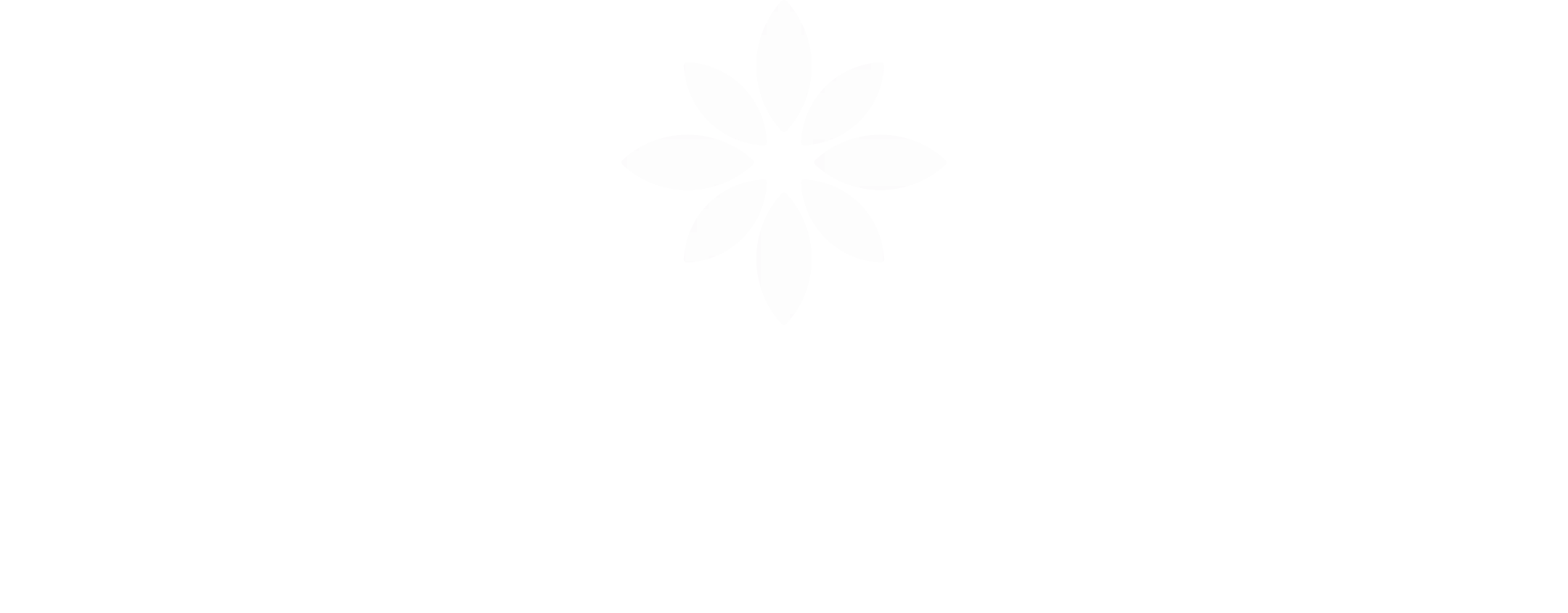 Logo Amor Group