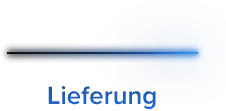Blue delivery van in motion with the text "Lightning-fast delivery"