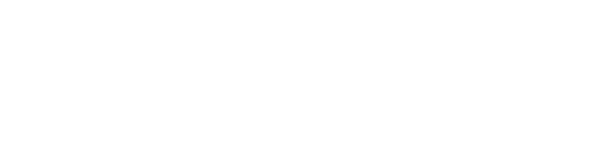 Logo VisionCheckout