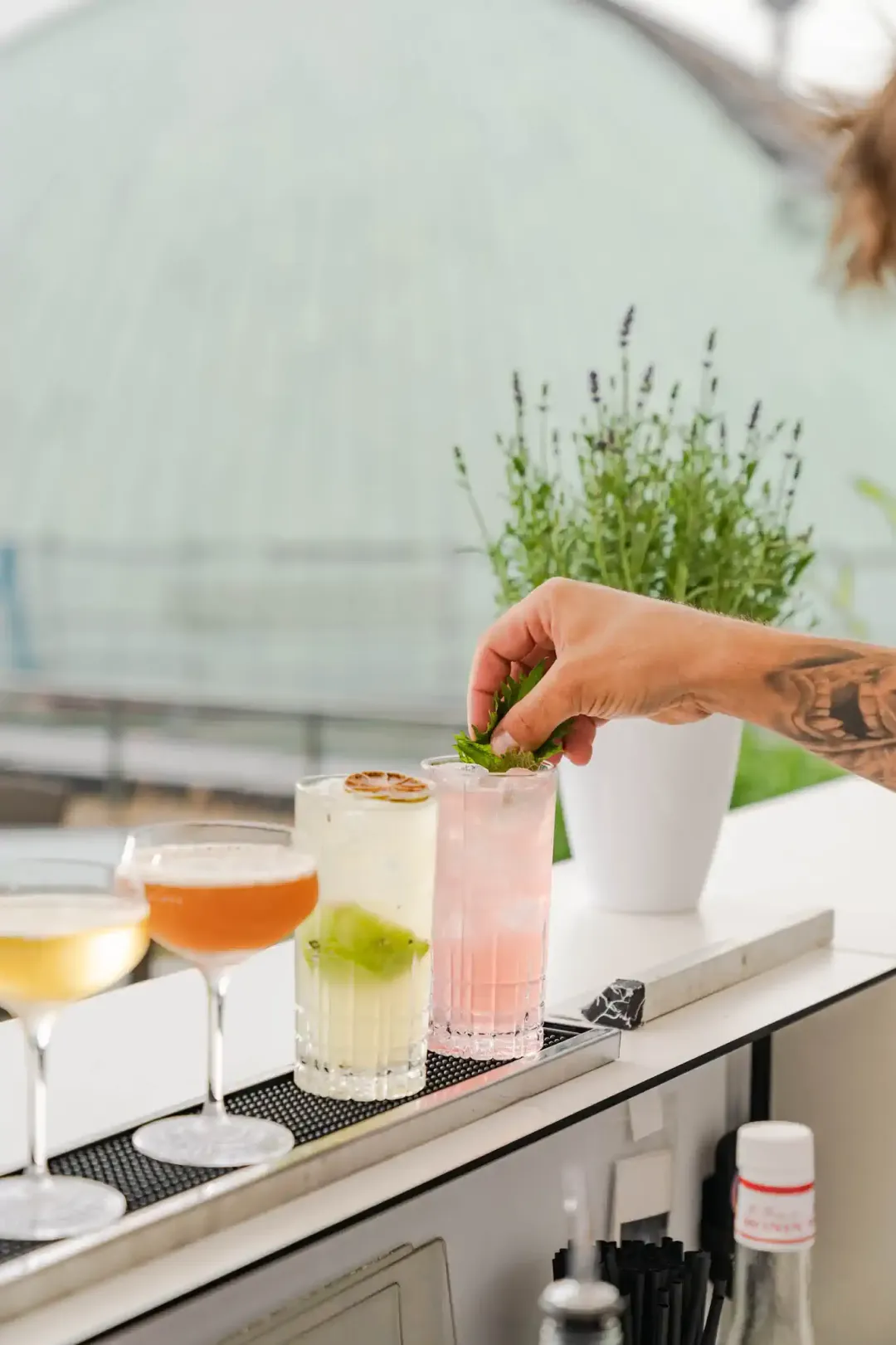 Barkeeper-Hand mit Tattoo garniert pinken Cocktail mit Minze – Hotel de Rome Berlin