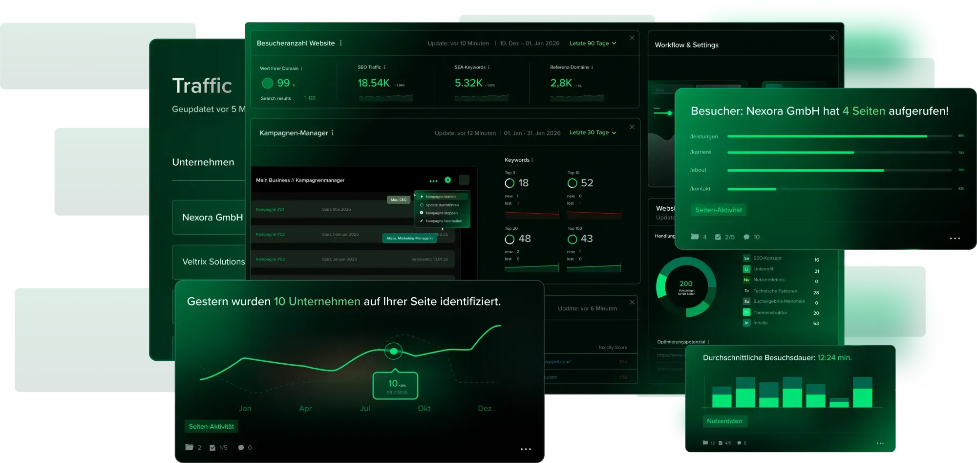 Dashboard screens with website traffic, campaigns and visitor analysis