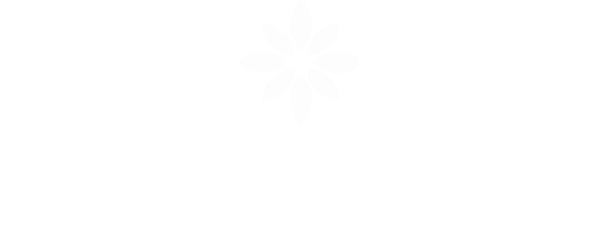 Logo Amor Group
